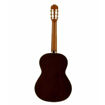 Vista traseira da guitarra José Torres JTC-5SB, destacando os aros e fundo em mogno.
