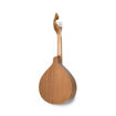 Vista traseira da guitarra portuguesa APC 305 Coimbra, destacando o grão natural da madeira de mogno e o braço ergonómico.