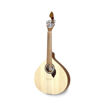 Ângulo lateral da guitarra portuguesa APC 305 Coimbra em fundo branco, mostrando o acabamento de poro aberto e a profundidade da caixa de ressonância.